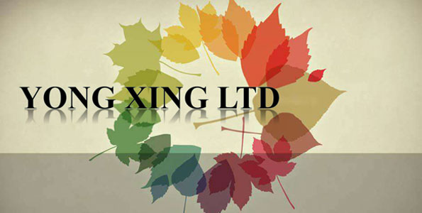 YongXing Presentation